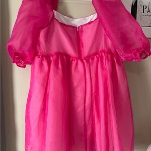 Vibrant Pink Sheer Dress